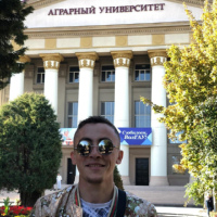 Saifullah Alhazurov, 26 лет, Москва, Россия
