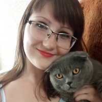 Аля Тарасенко, 28 лет, Карловка, Украина