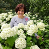 Татьяна Коломейцева, 57 лет, Москва, Россия