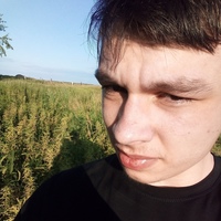 Максим Боникардт, 23 года, Татарск, Россия