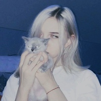 Екатерина Александрова, 20 лет, Грязовец, Россия